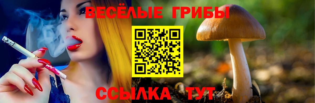 Галлюциногенные грибы GOLDEN TEACHER Радужный